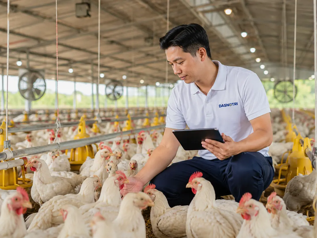 Tư vấn kỹ thuật